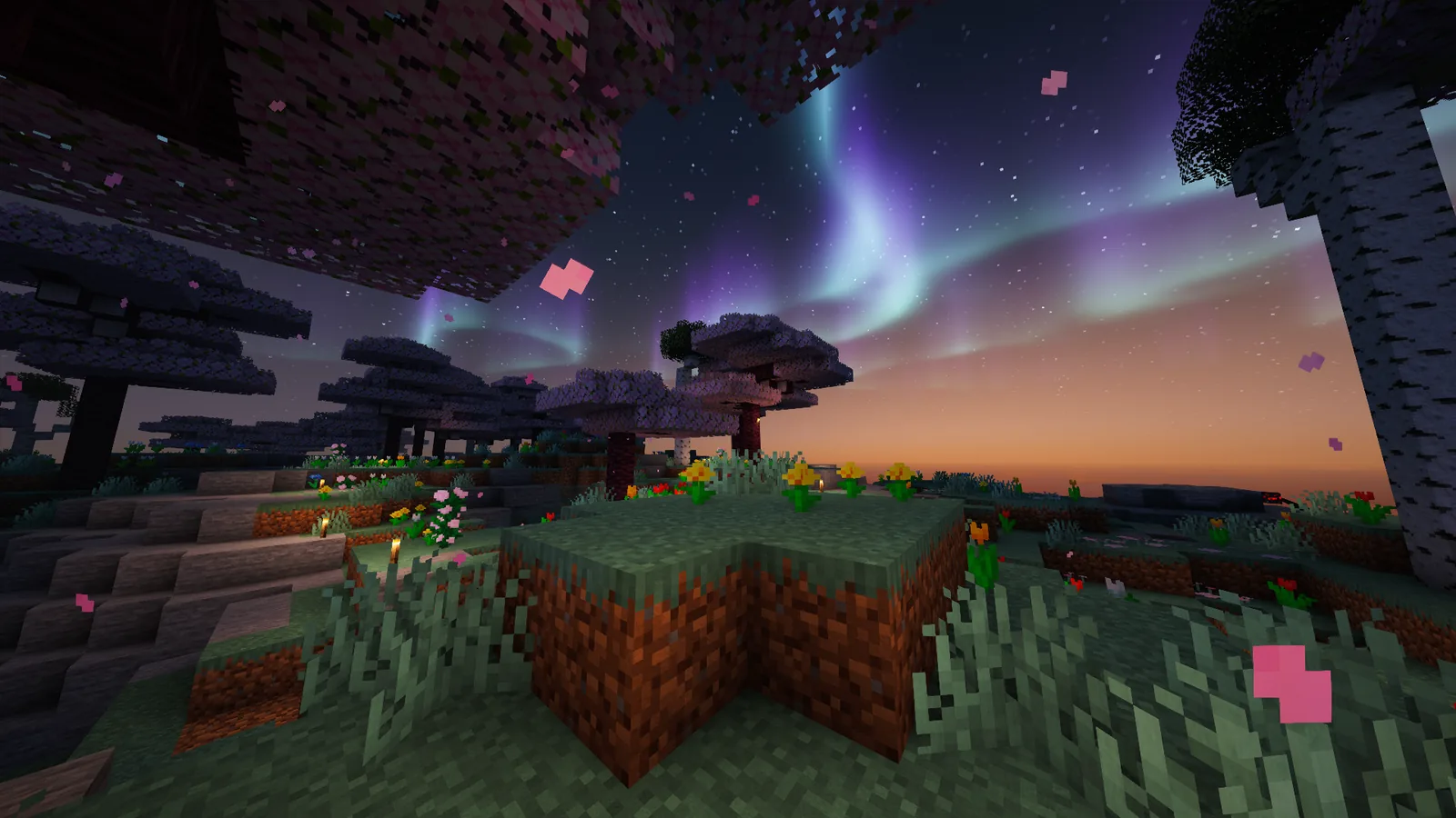 Paisaje nocturno con aurora dentro de DrakesCraft